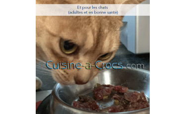 recette pour chat adulte en bonne santé